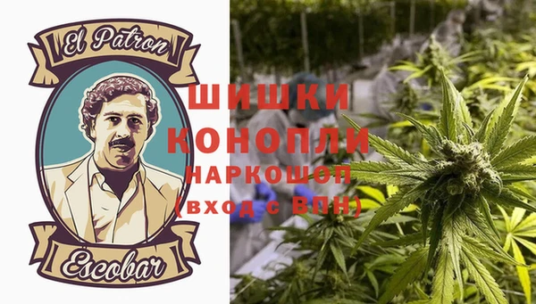 Альфа ПВП Бугульма