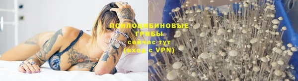Альфа ПВП Бугульма