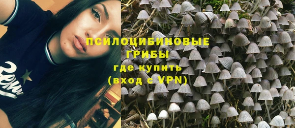 бошки Бронницы
