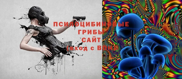 Альфа ПВП Бугульма