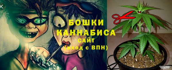 Альфа ПВП Бугульма