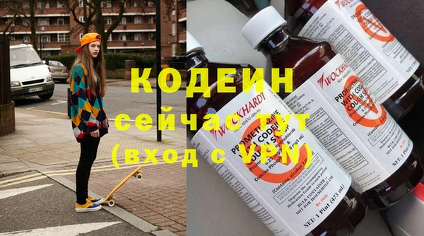 ГАЛЛЮЦИНОГЕННЫЕ ГРИБЫ Богданович