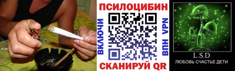 Галлюциногенные грибы прущие грибы  kraken рабочий сайт  Сыктывкар 