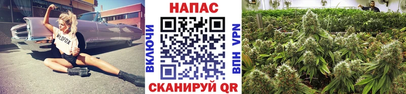 Конопля MAZAR  дарнет шоп  Сыктывкар 